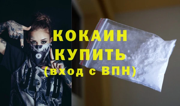 шишки Сясьстрой