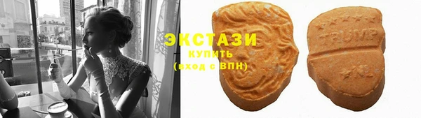 шишки Сясьстрой