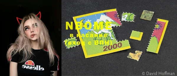 шишки Сясьстрой